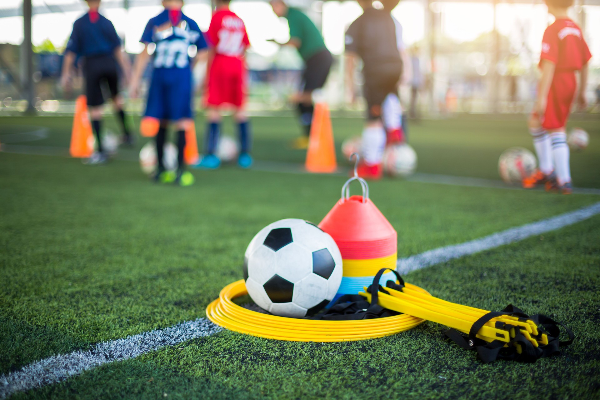Ladder drills, soccer ball and marker cones on green artificial turf